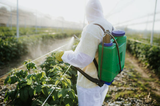 Wildlife Control Services in La Porte, TX